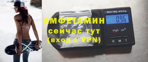 индика Белокуриха