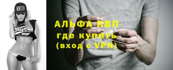 индика Белокуриха