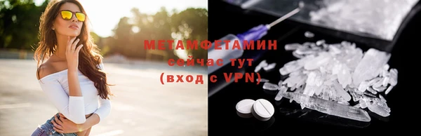 индика Белокуриха