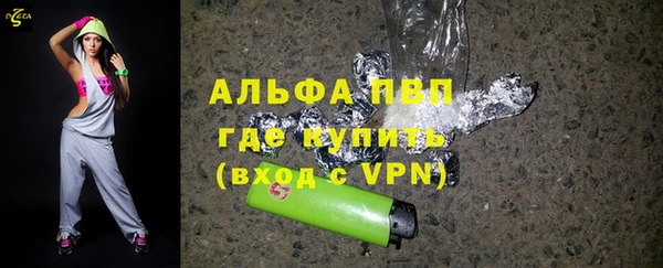 индика Белокуриха
