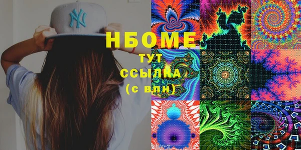индика Белокуриха